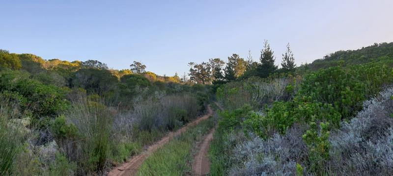 0 Bedroom Property for Sale in Albertinia Western Cape